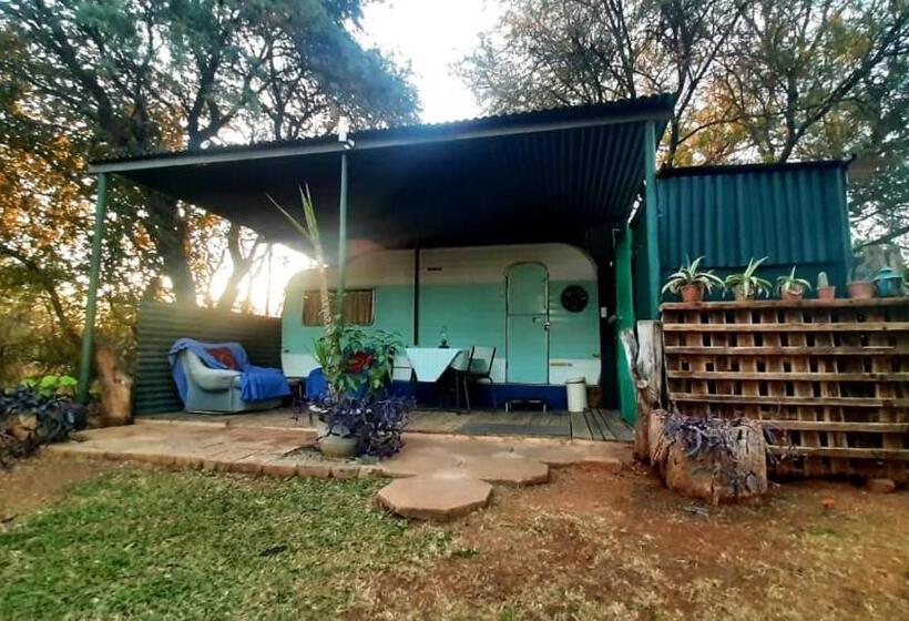 Kameel Rust And Vrede B & B And Camping