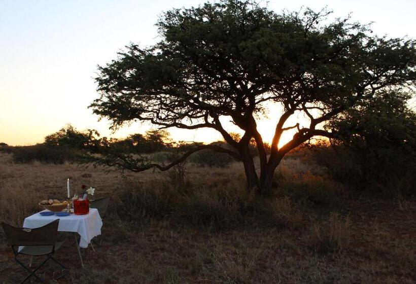 Kameel Rust And Vrede B & B And Camping