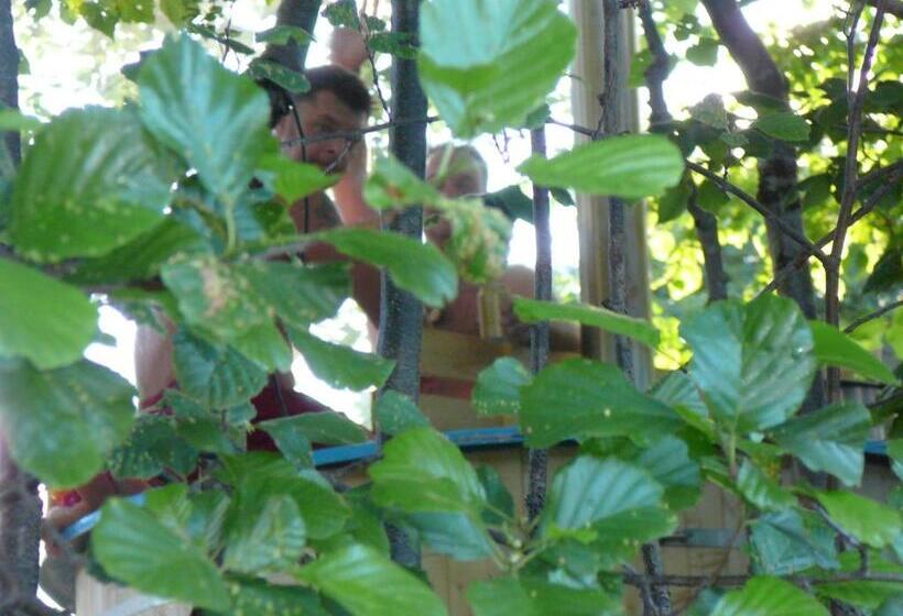 Lönneberga Vandrarhem & Hostel