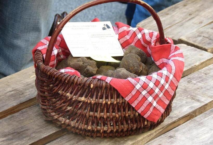 Пансион A Deux Pas De St Cirq Lapopie, La Chambre Du Cocher Des Murets De L Isa