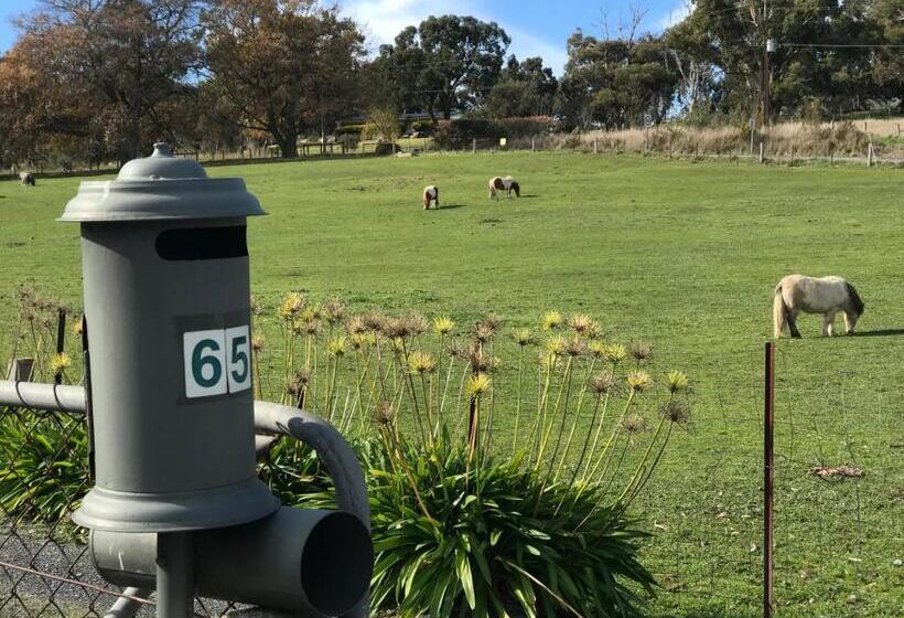 Пансион Adelaide Hills Escape