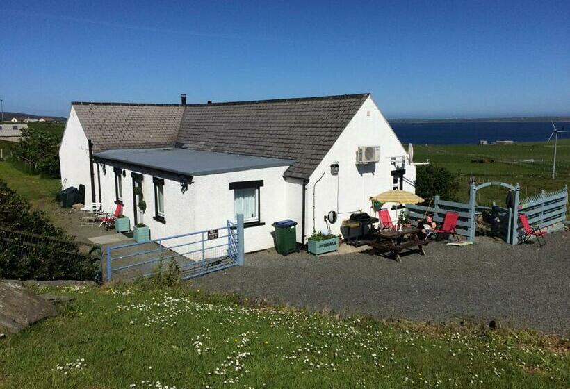 ペンション Aviedale Suite