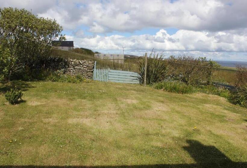 ペンション Aviedale Suite