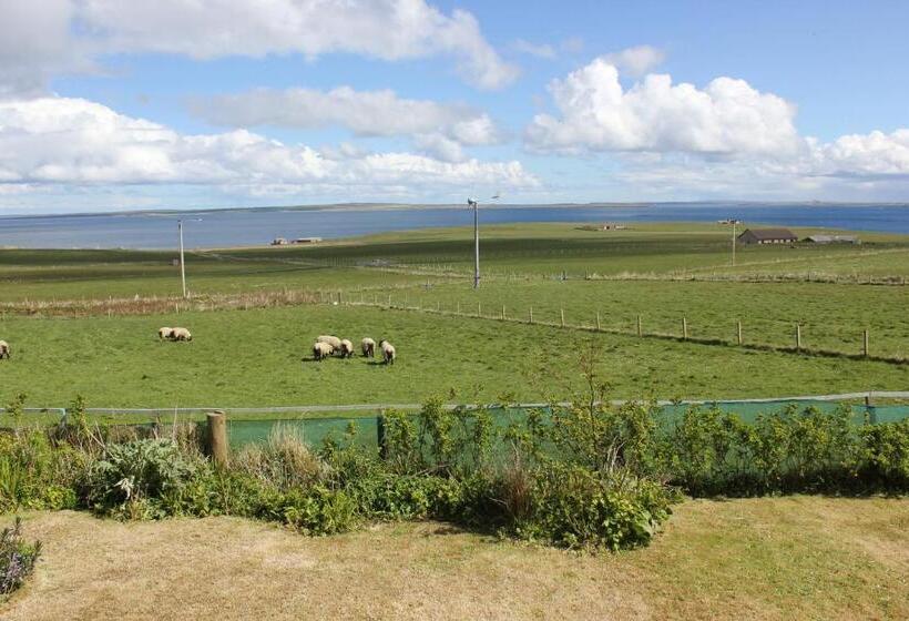 ペンション Aviedale Suite