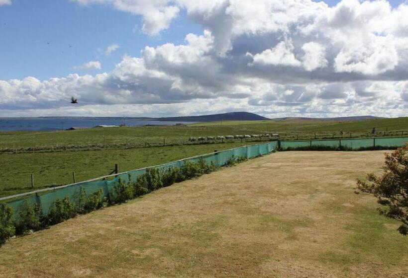 ペンション Aviedale Suite