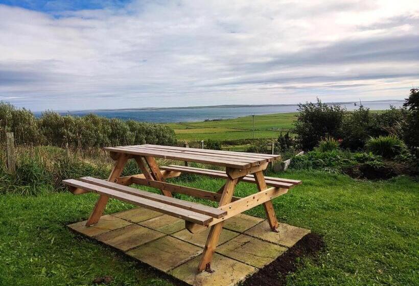 ペンション Aviedale Suite