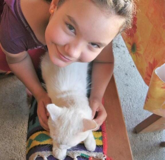 膳宿费 Bari Tanya