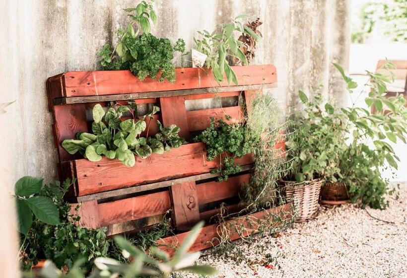 膳宿费 Boróka Vendégház Tóalmás