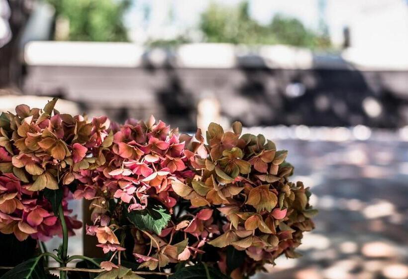 膳宿费 Boróka Vendégház Tóalmás