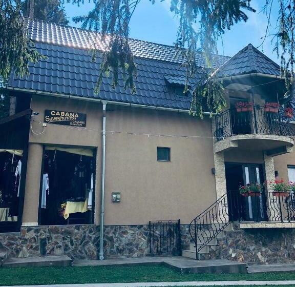 פנסיון Cabana Suvenirurilor