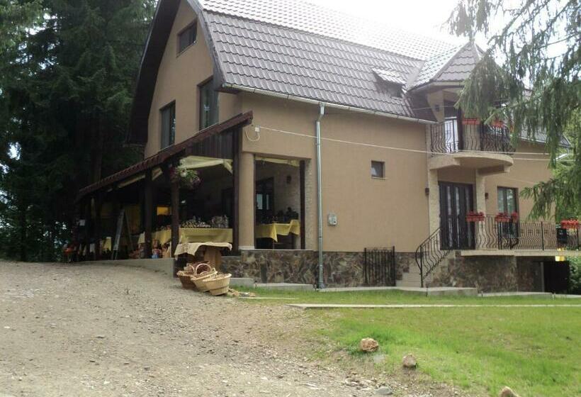 פנסיון Cabana Suvenirurilor