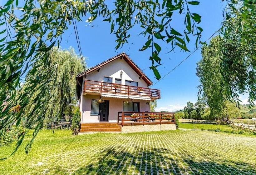 Пансион Casa Nitu