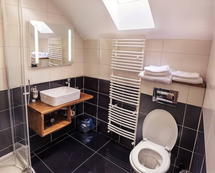 Пансион Casa Nitu