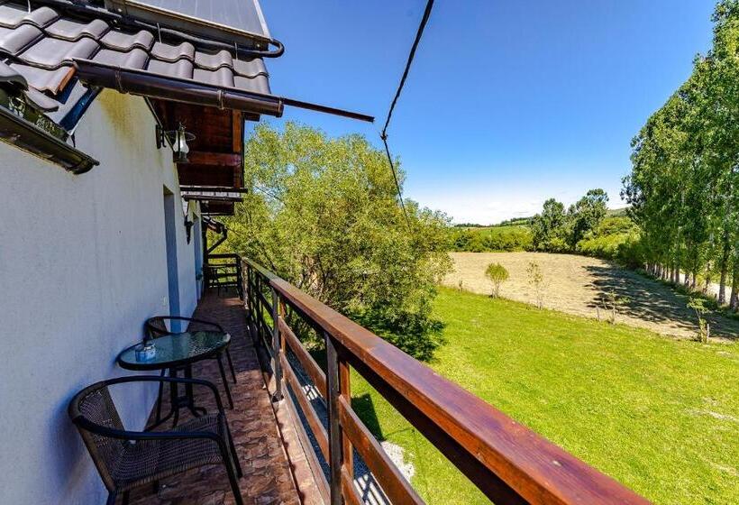 Пансион Casa Nitu