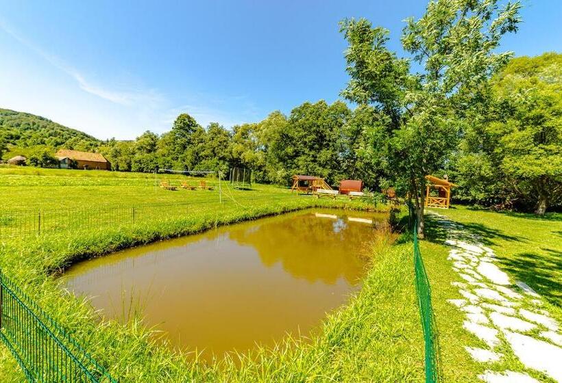 Пансион Casa Nitu