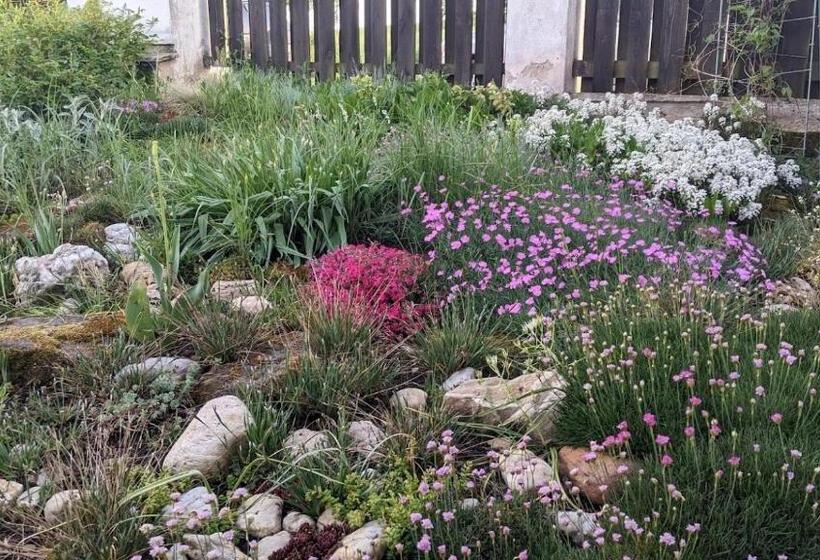 פנסיון Chalupa U Rybníka Střehom