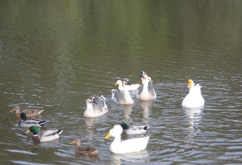 פנסיון Domaine Des Charmilles