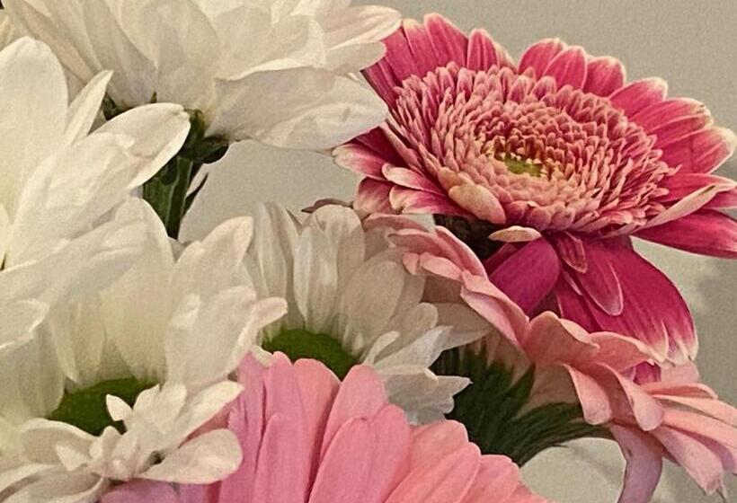 펜션 L Itinérante