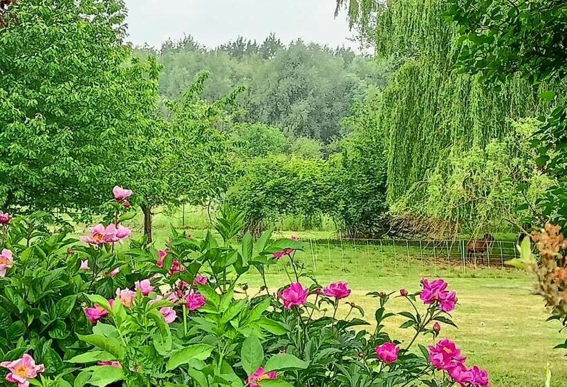 Пансион Les Chambres D Hôtes Du Vert Galant  L Allée Des Champs