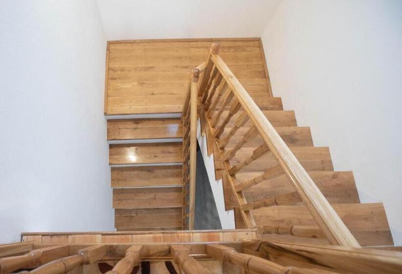 פנסיון Livada Amely