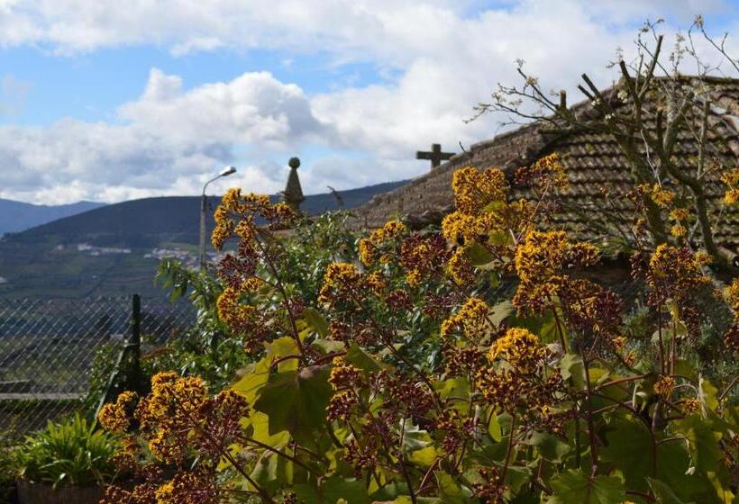 ペンション Mesao Provesende