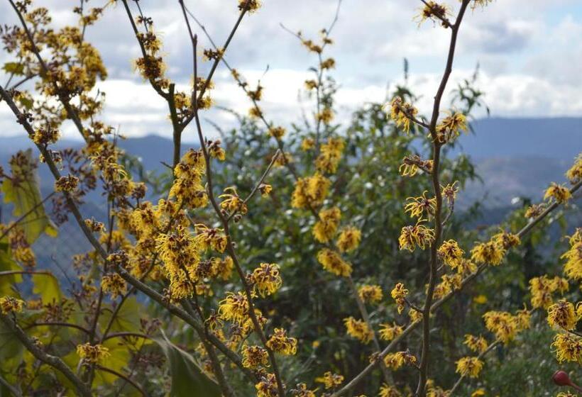 ペンション Mesao Provesende