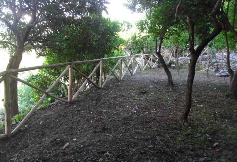 بنسيون Palazzo Gentilizio De Maffutiis