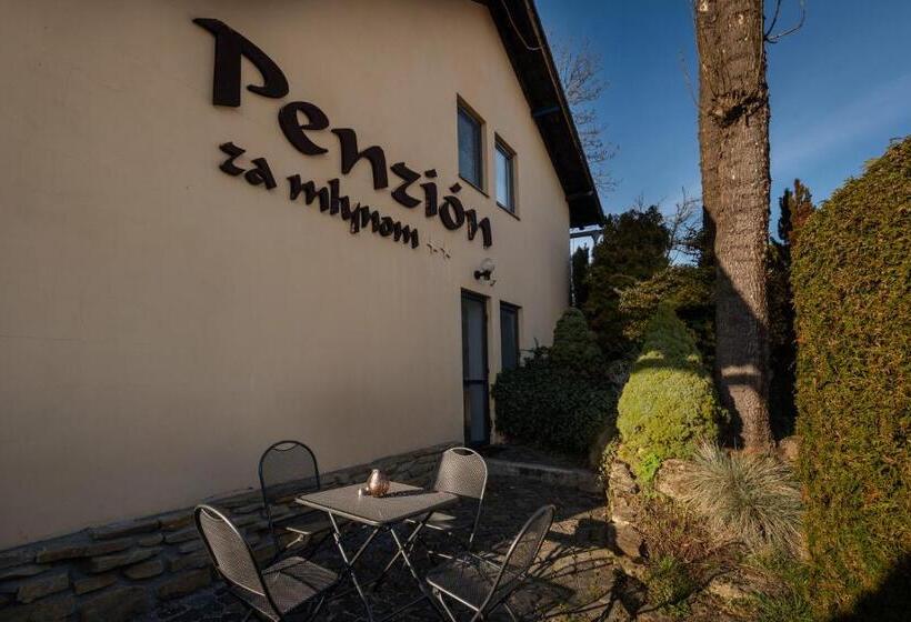 ペンション Penzion Za Mlynom