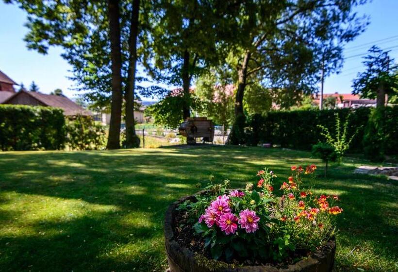 بنسيون Penzion Za Mlynom