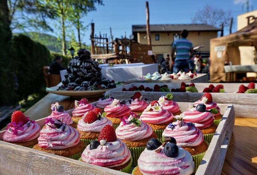 بنسيون Penzion Za Mlynom