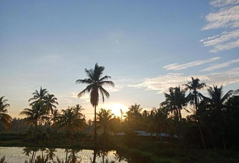 ペンション Rinjani Terrace Cottage