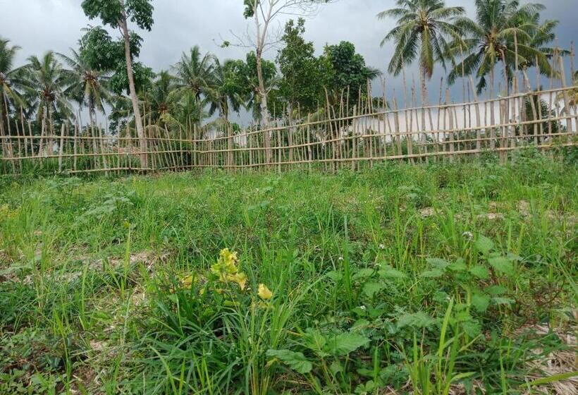 ペンション Rinjani Terrace Cottage