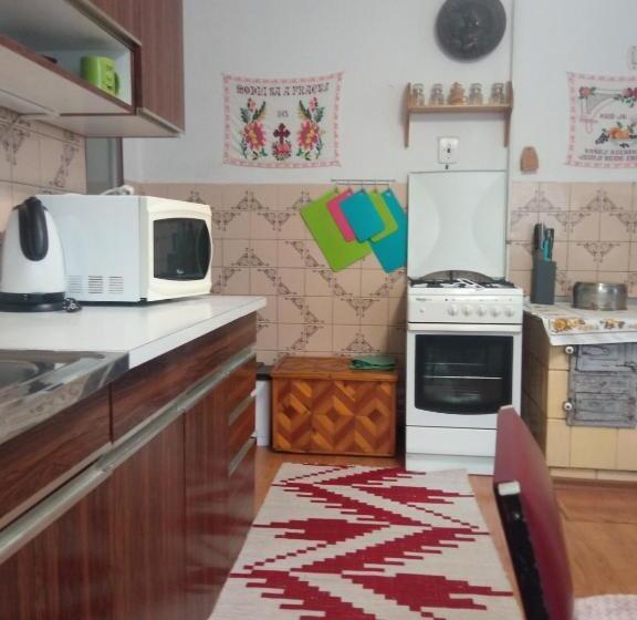 膳宿费 Privat Ludmila