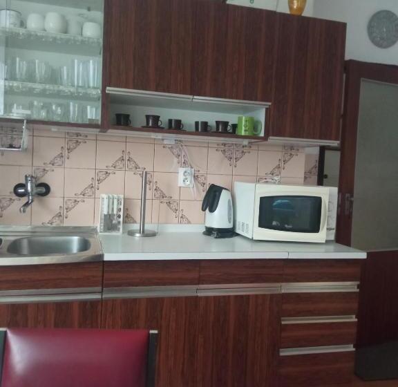 膳宿费 Privat Ludmila