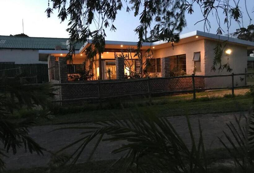 بنسيون The Store