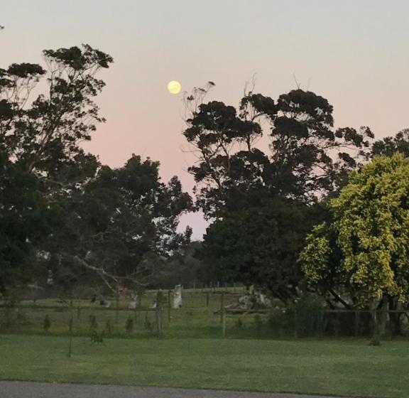 بنسيون The Store