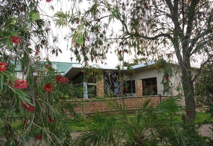 بنسيون The Store