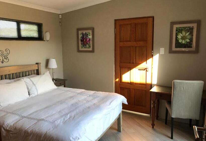 بنسيون The Store