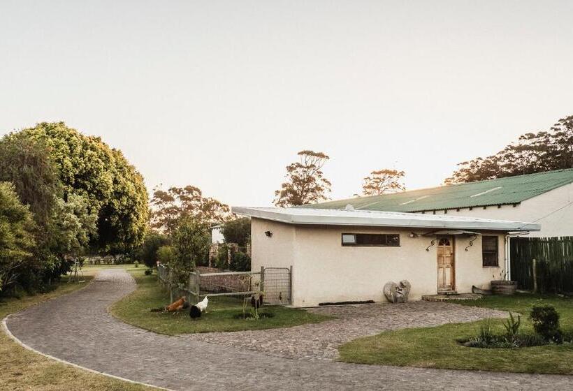 ペンション The Store