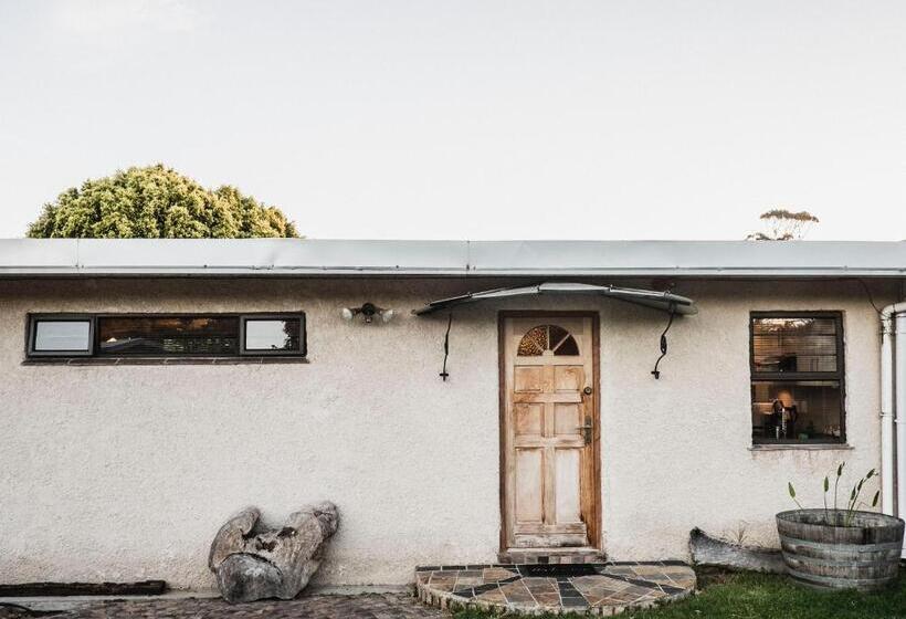 بنسيون The Store