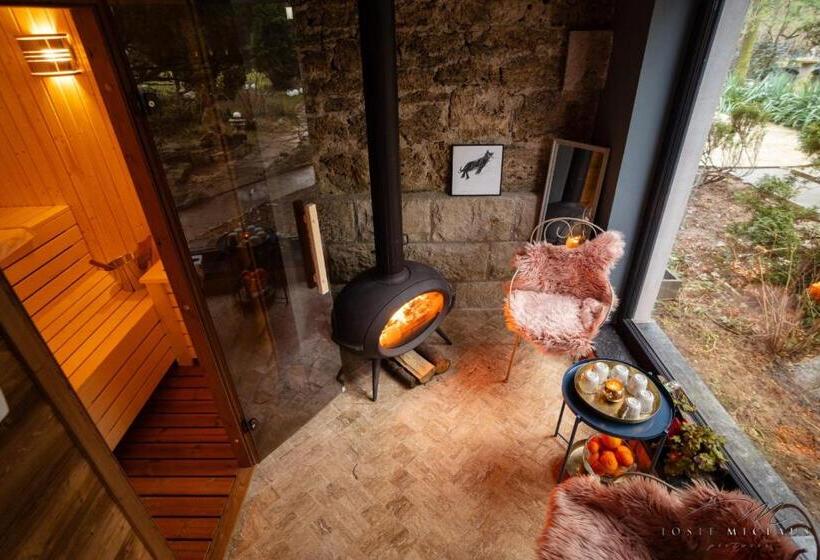 פנסיון Villa Castelul Maria