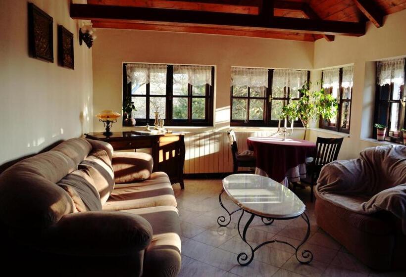 פנסיון Villa Castelul Maria