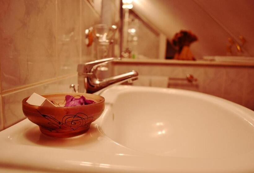 פנסיון Villa Castelul Maria