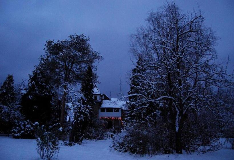 פנסיון Villa Castelul Maria