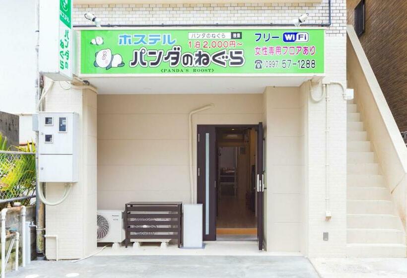 Hostel Panda No Negura