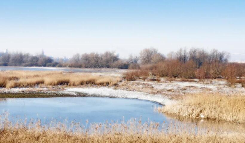 הוסטל Gezinskamer Van Waard Van Kekerdom