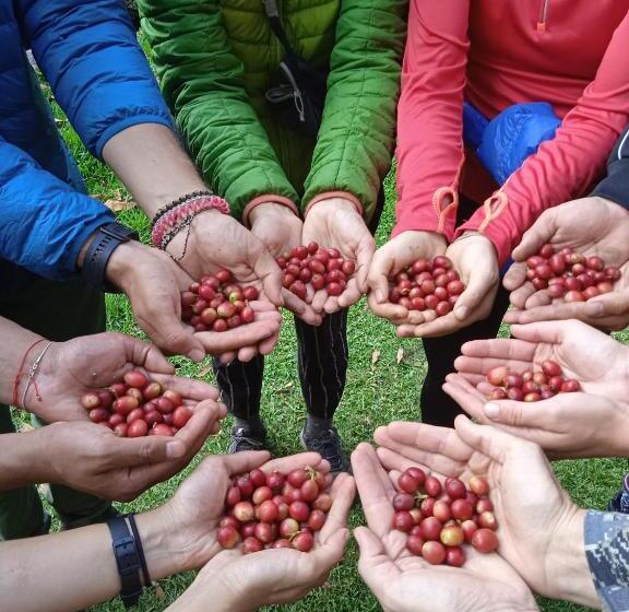 호스텔 Lia B&b Lucmabamba