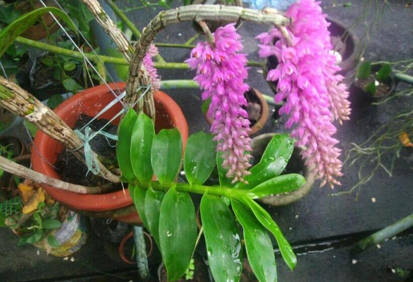 هاستل Mirisbiris Garden And Nature Center