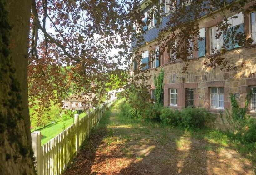 Общежитие Morgentau Appartement