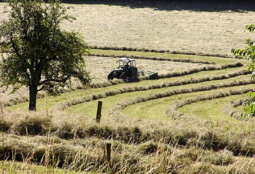 Общежитие Morgentau Appartement